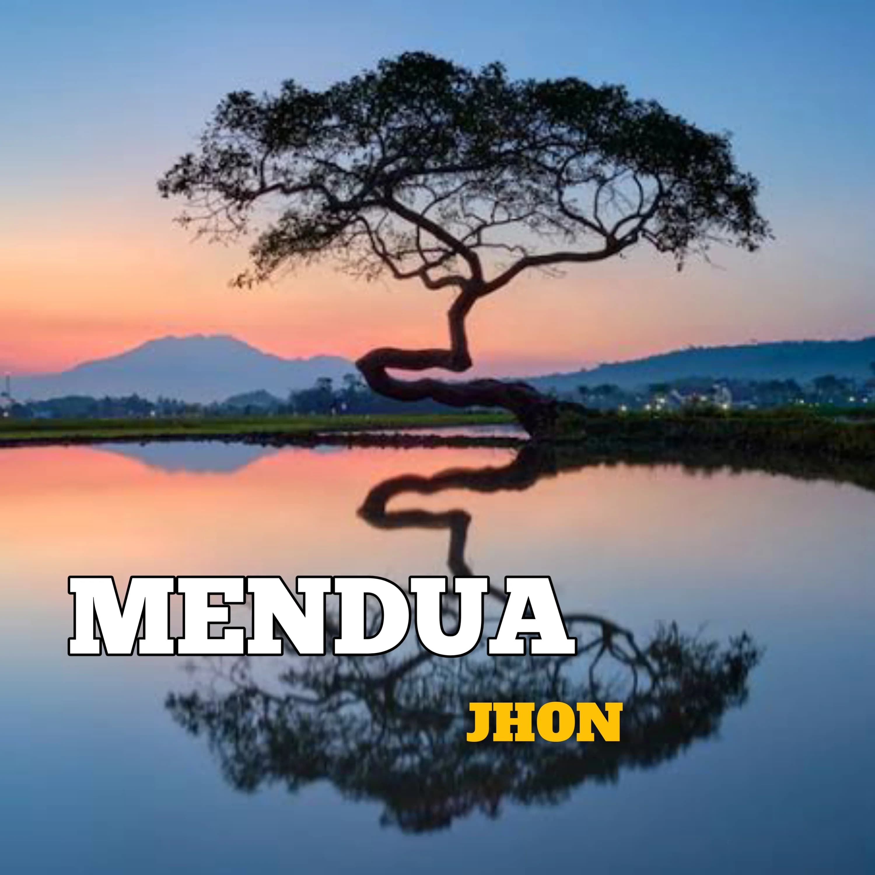 Mendua
