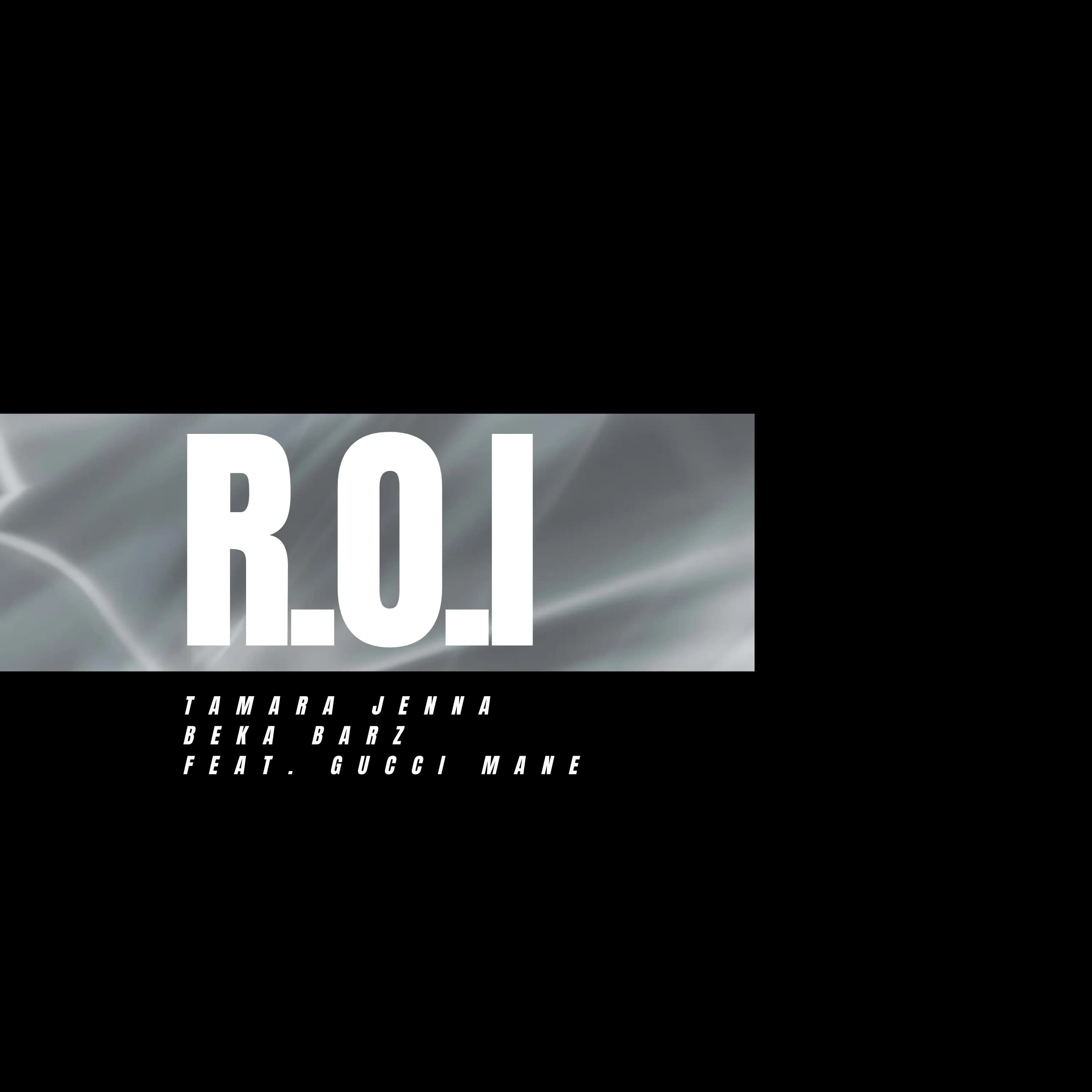 R.O.I (RETURN ON INVESTMENT)