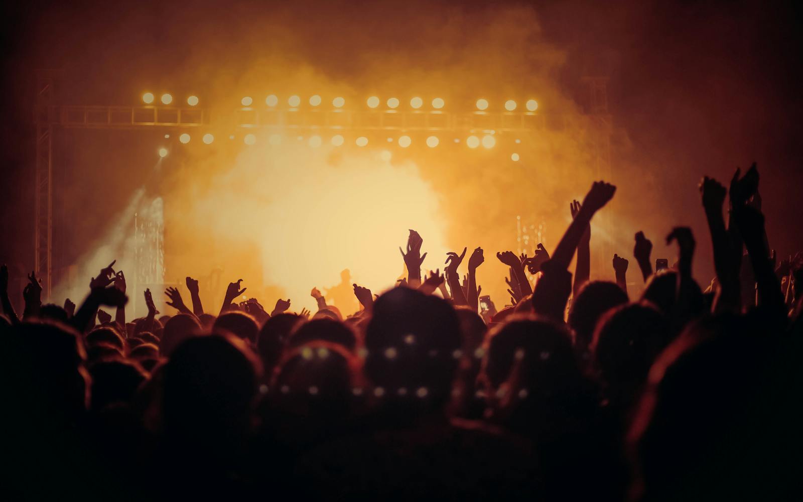 Concert crowd immersed in the music experience